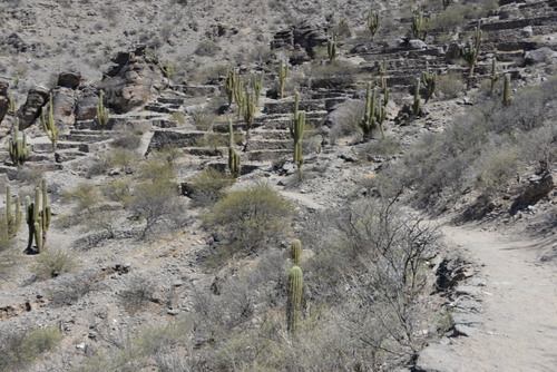 Ruinas de los Quilmes.