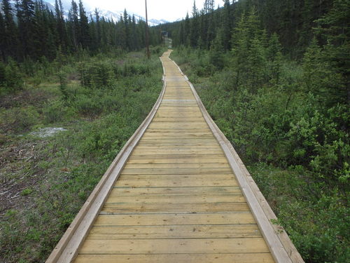 GDMBR: A 'nature boardwalk' was made to preserve the wetland.