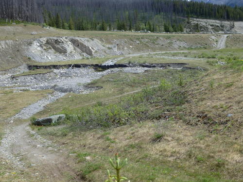 GDMBR: Our back-view shows where we and others went around the erosion gully.