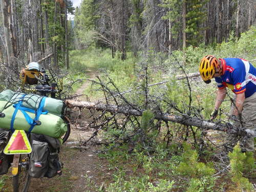 GDMBR: We had to break out the saw for this tree combination.