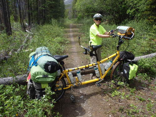 GDMBR: This tree is too high up too heavy to carry the bike over.