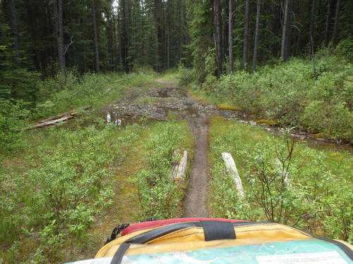 GDMBR: Spray Lake's upland terrain.