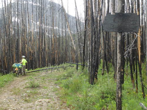 GDMBR: We have come across a burn scar. The sign says Closed to Bicycles.