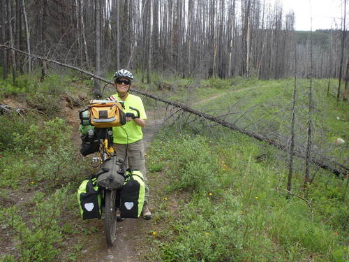 GDMBR: Yet another downed tree.