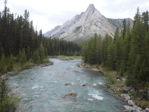 GDMBR: Looking downstream over Spray River.