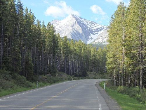 GDMBR: The road to the Elk Pass Trail and Trailhead.