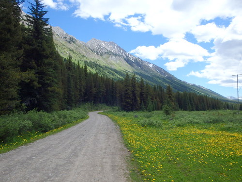 GDMBR: Elk River Road.