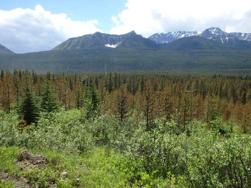 GDMBR: Looking west along the Elk River Road.