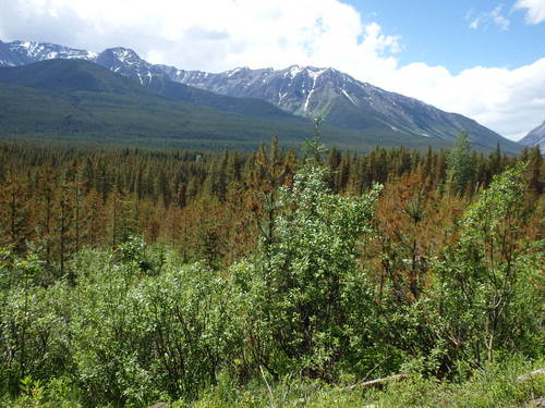 GDMBR: Looking west along the Elk River Road.