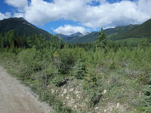 GDMBR: Looking southeast on Elk River Road.