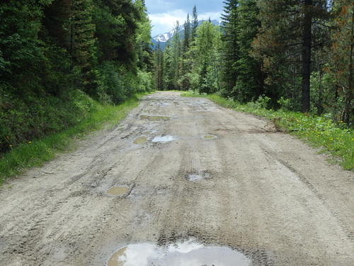 GDMBR: Typical water puddles, easy to maneuver around.