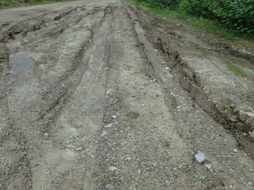 GDMBR: A week ago, this was a miserable bog, today we can ride around it.