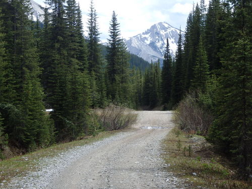 GDMBR: We're nearing Flathead Pass.