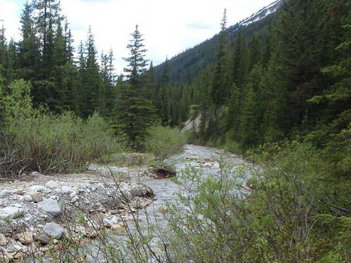 GDMBR: This image is of our travel road, it is flooded for as far as we can see.