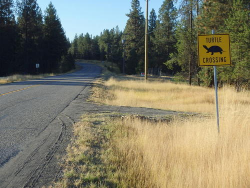 GDMBR: Clever School Crossing Sign.