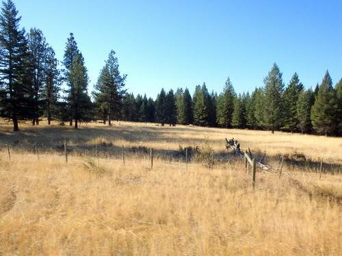 GDMBR: Looking west on BC Hwy-93.