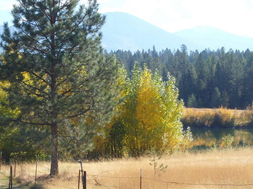 GDMBR: Riding through some of the Private Land.