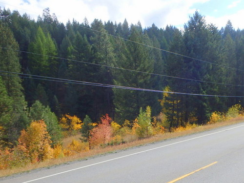 GDMBR: Heading south on BC Hwy-93.