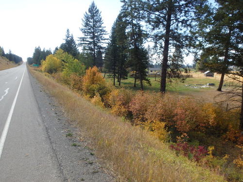 GDMBR: Heading south on BC Hwy-93.