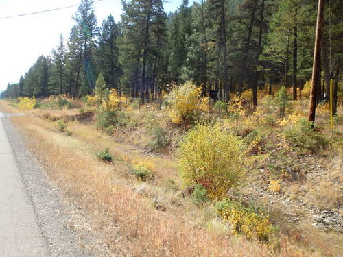 GDMBR: Heading south on BC Hwy-93.