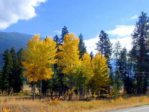 GDMBR: Heading south on BC Hwy-93.