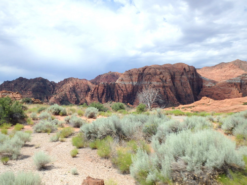 Tandem Bike Tour, Snow Canyon, UT.