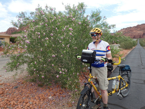 Dennis and the Bee; Township of Ivins, UT.