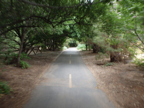 Cycling through a bicycle pathway in Santa Clara.