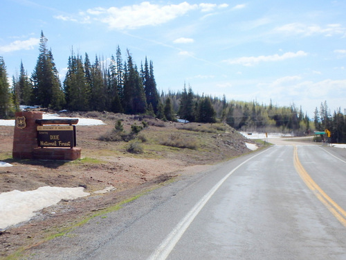 Leaving Cedar Breaks NM, Entering Dixie NF.