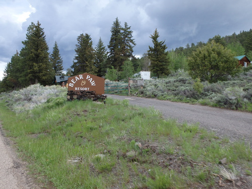 Bear Paw Resort.