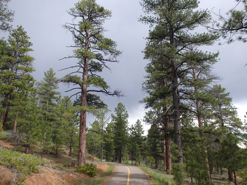 Cycling the bike path continued.