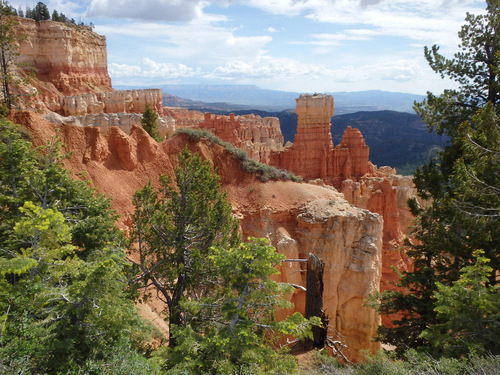 View from the Agua Canyon overlook.