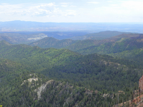 Side view on the road to Rainbow Point.