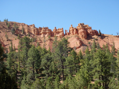 The Red Canyon area of Dixie National Forest.