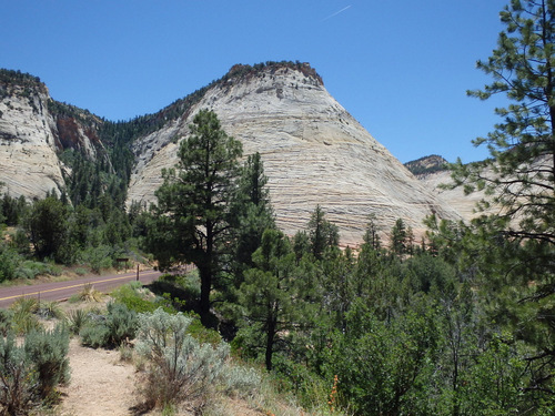 Checkerboard Mesa, Zion NP, Utah.