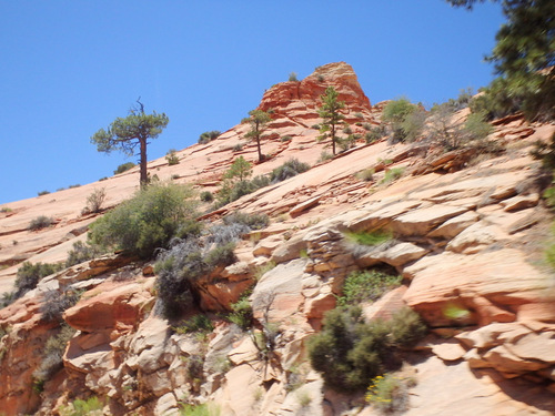 Pedaling through Zion NP.