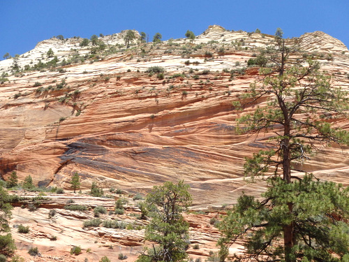 Pedaling through Zion NP.