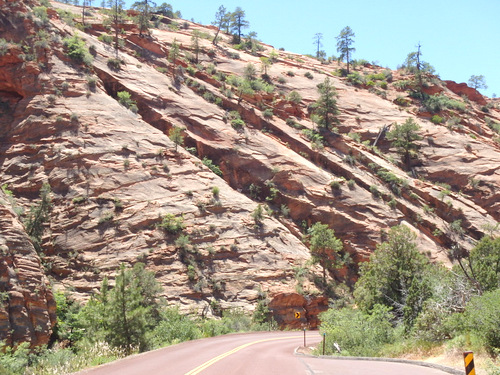 Pedaling through Zion NP.