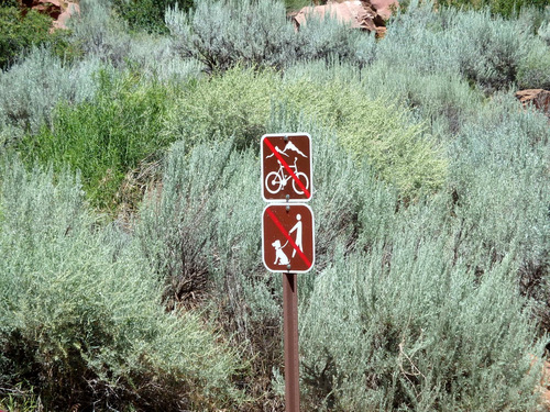 We were now in the Zion Mountain Switchbacks.