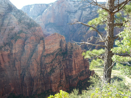 West Rim Trail.