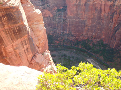 West Rim Trail.