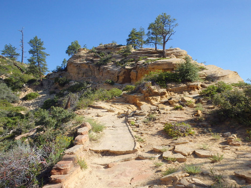 West Rim Trail.