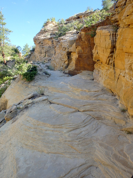 West Rim Trail.