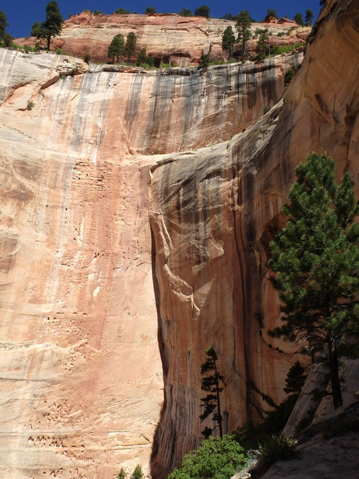 West Rim Trail.