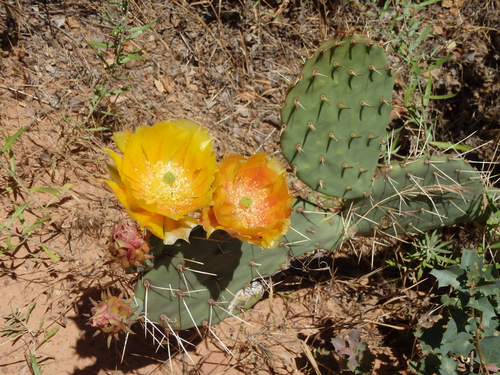 The Grotto Trail.