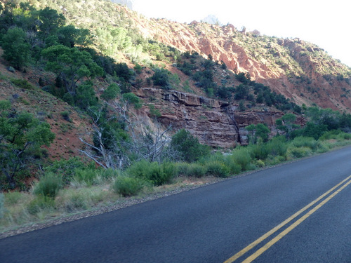 Cycling through Zion NP's Virgin Valley.