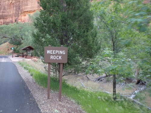 Cycling through Zion NP's Virgin Valley.