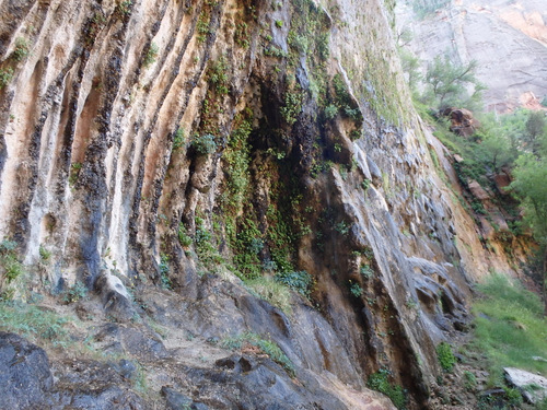 Cycling through Zion NP's Virgin Valley.