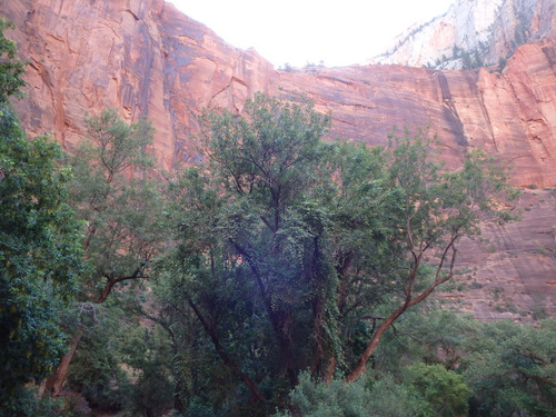 Cycling through Zion NP's Virgin Valley.