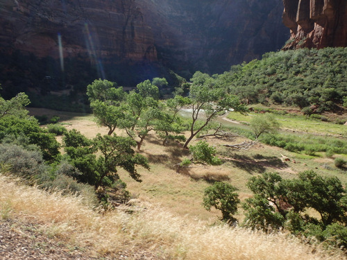 Cycling through Zion NP's Virgin Valley.